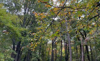 Lauren's photo at Hickory Run State Park Campground near Freeland, PA