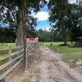 Review photo of Green Wood Stable Lodge RV Park by William  M., October 3, 2022