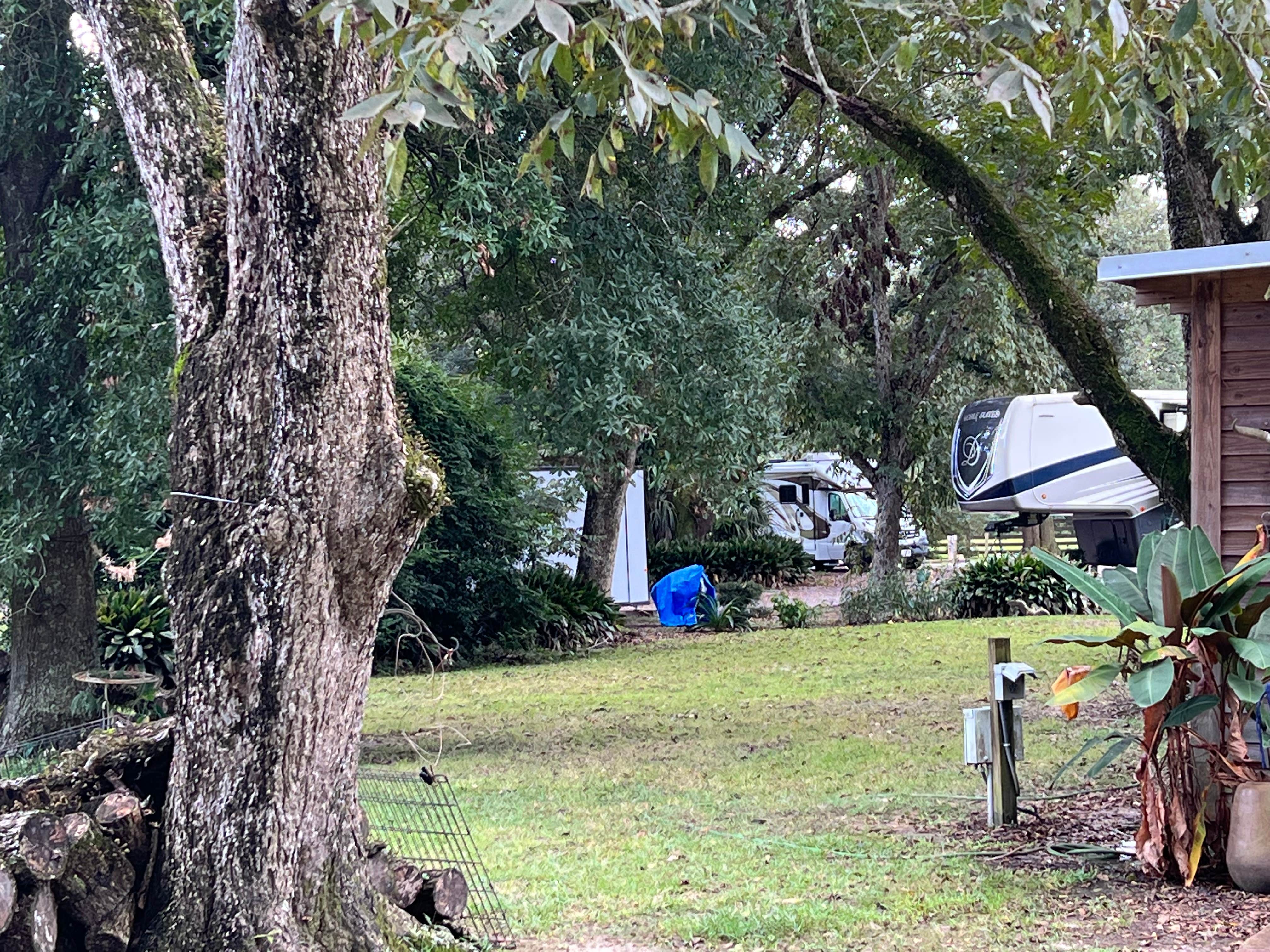 William  M.'s photo at Green Wood Stable Lodge RV Park near Ocean Springs, MS