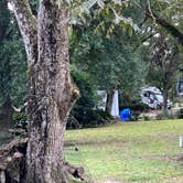 Review photo of Green Wood Stable Lodge RV Park by William  M., October 3, 2022