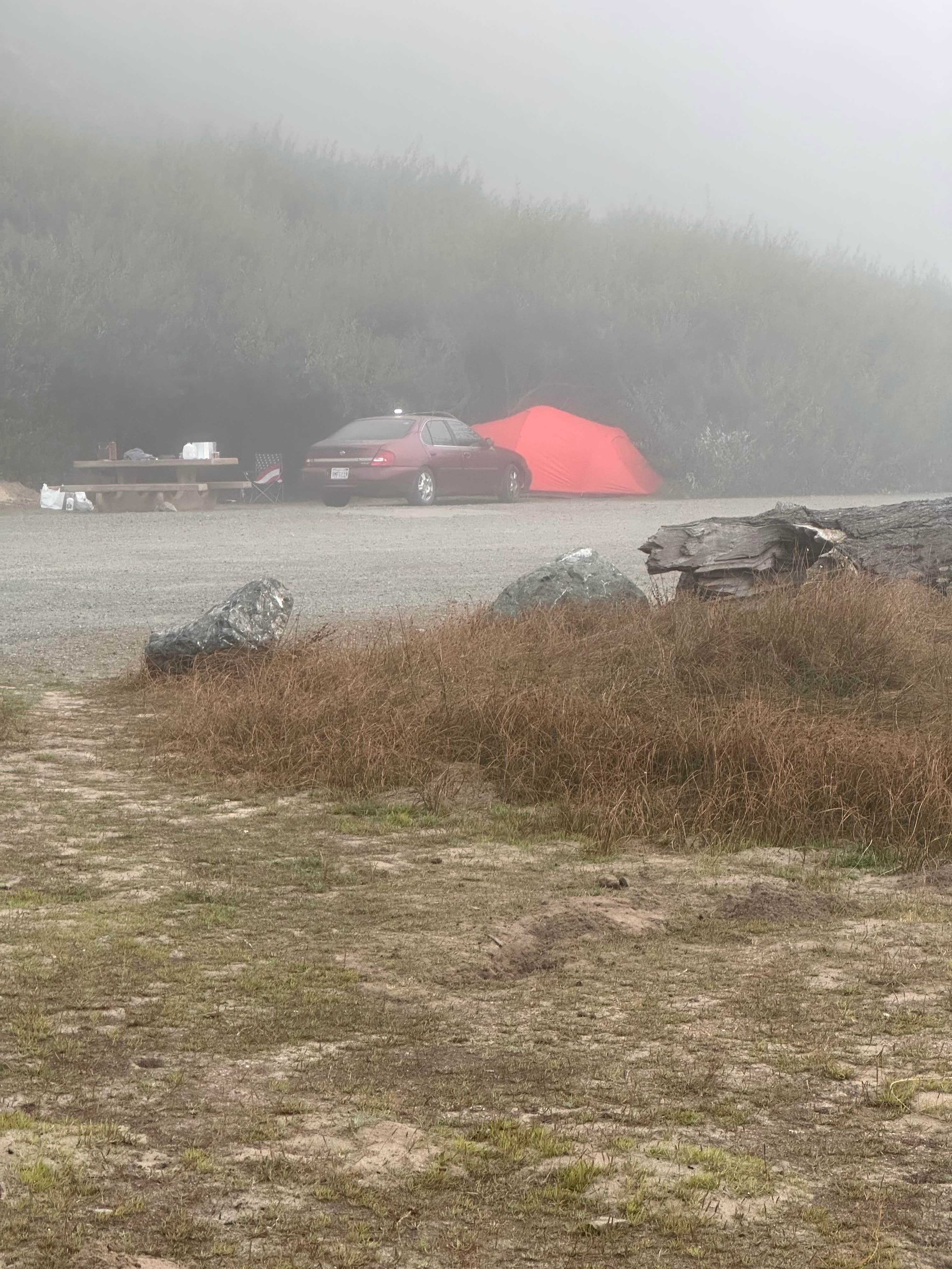 Camper-submitted photo at Navarro Beach - Navarro River Redwoods State Park near Mendocino, CA