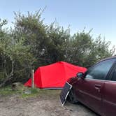 Review photo of Navarro Beach - Navarro River Redwoods State Park by Rich O., October 3, 2022