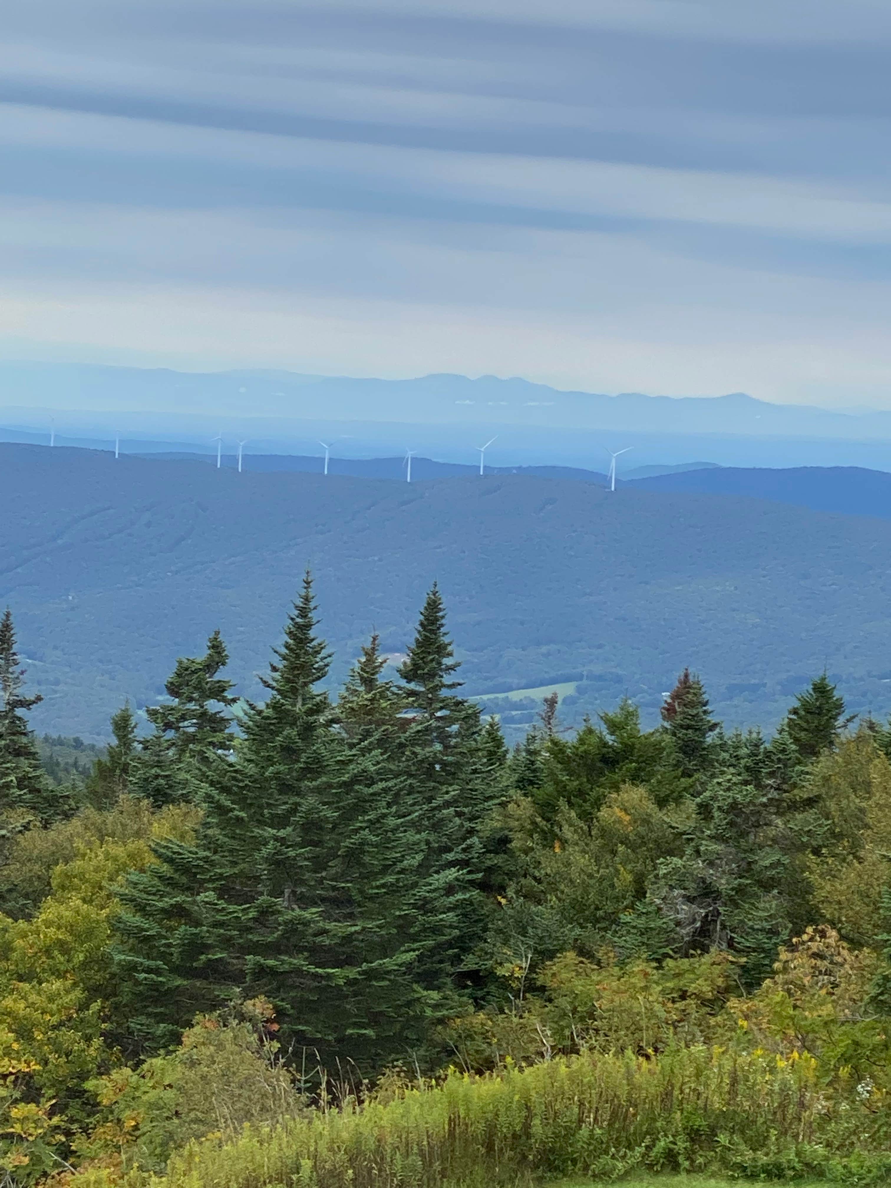 Camper-submitted photo at Fernwood Forest Campground near West Stockbridge, MA