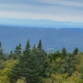 View from the top of Mt. Greylock