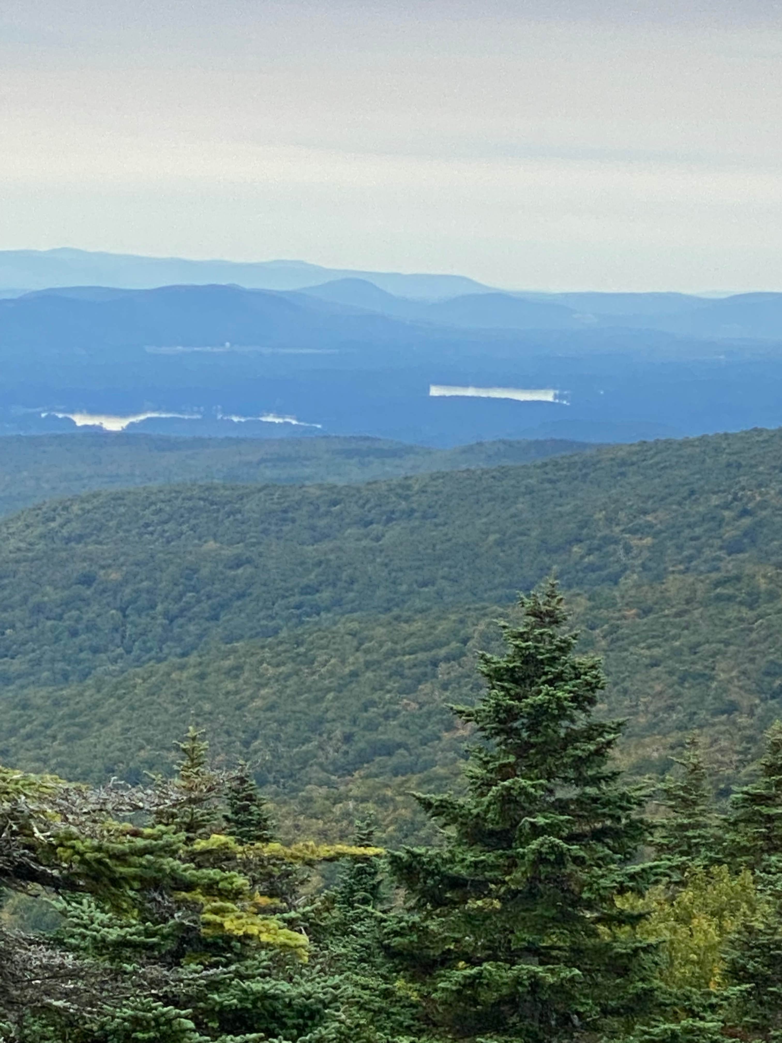 Camper-submitted photo at Fernwood Forest Campground near West Stockbridge, MA
