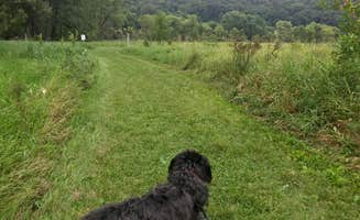 Tikki B.'s photo of camping with pets at Flandrau State Park near Henderson, MN