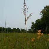 Review photo of Swede Point Park by Billy  K., September 4, 2018