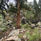 Review photo of Deer Creek Campground — Golden Gate Canyon by Tikki B., September 4, 2018