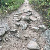 Review photo of Deer Creek Campground — Golden Gate Canyon by Tikki B., September 4, 2018