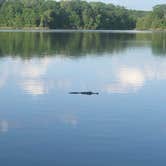 Review photo of COE Alabama River Lakes Chilatchee Creek Campground by Michelle G., April 26, 2022