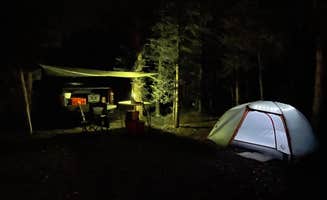 Cody J.'s photo of a dispersed camping area at East Fork San Juan River, USFS Road 667 - Dispersed Camping near Los Ojos, NM