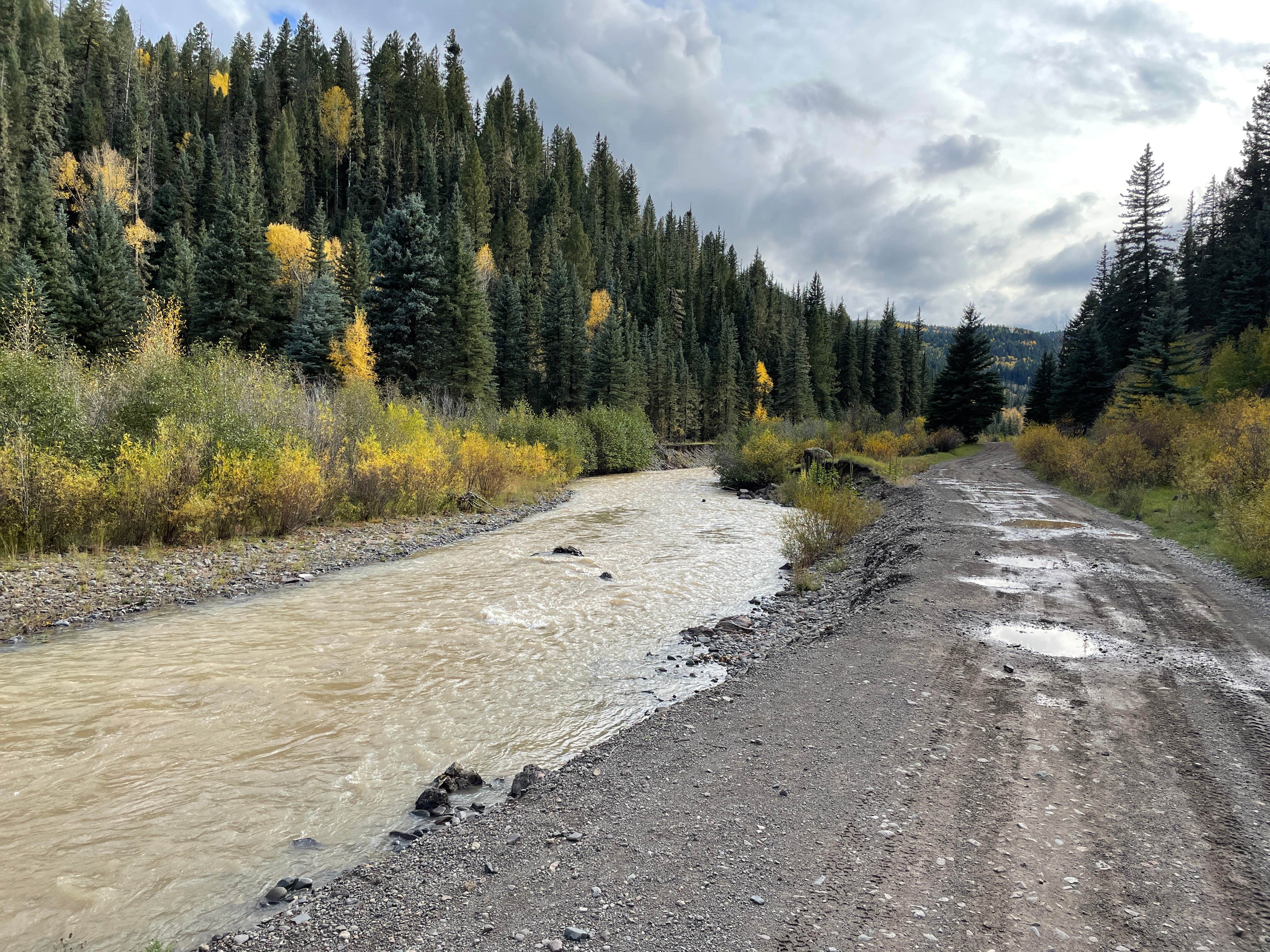 Camper submitted image from East Fork San Juan River, USFS Road 667 - Dispersed Camping - 5
