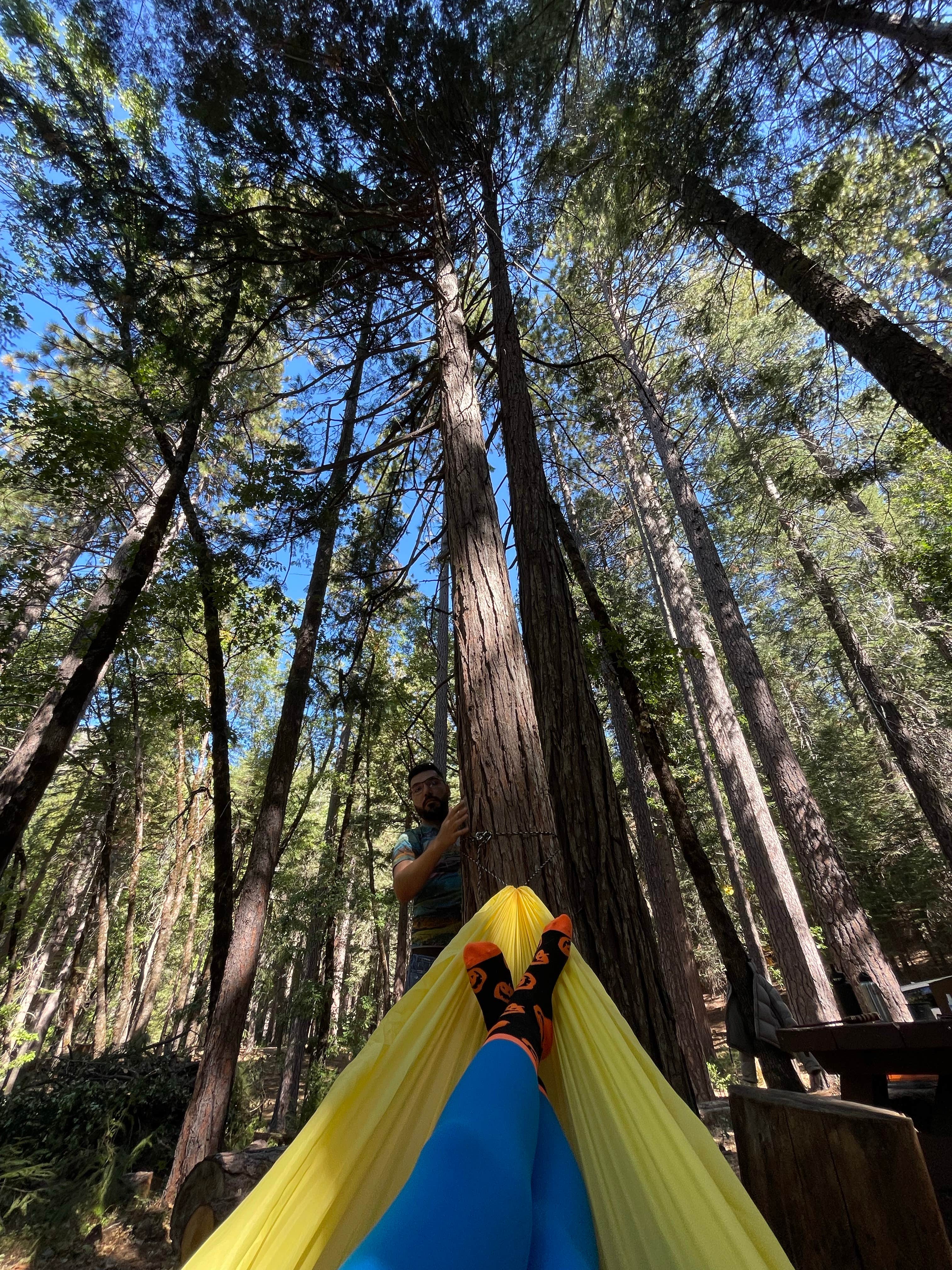 Camper-submitted photo at Loganville near Calpine, CA