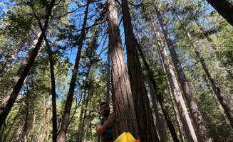 Lily G.'s photo of tent camping at Loganville near Alleghany, CA