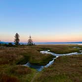 Review photo of Dosewallips State Park Campground by Amy & Stu B., October 3, 2022