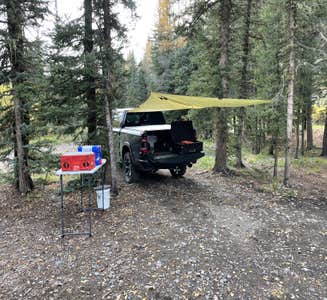 Camper-submitted photo from East Fork San Juan River, USFS Road 667 - Dispersed Camping