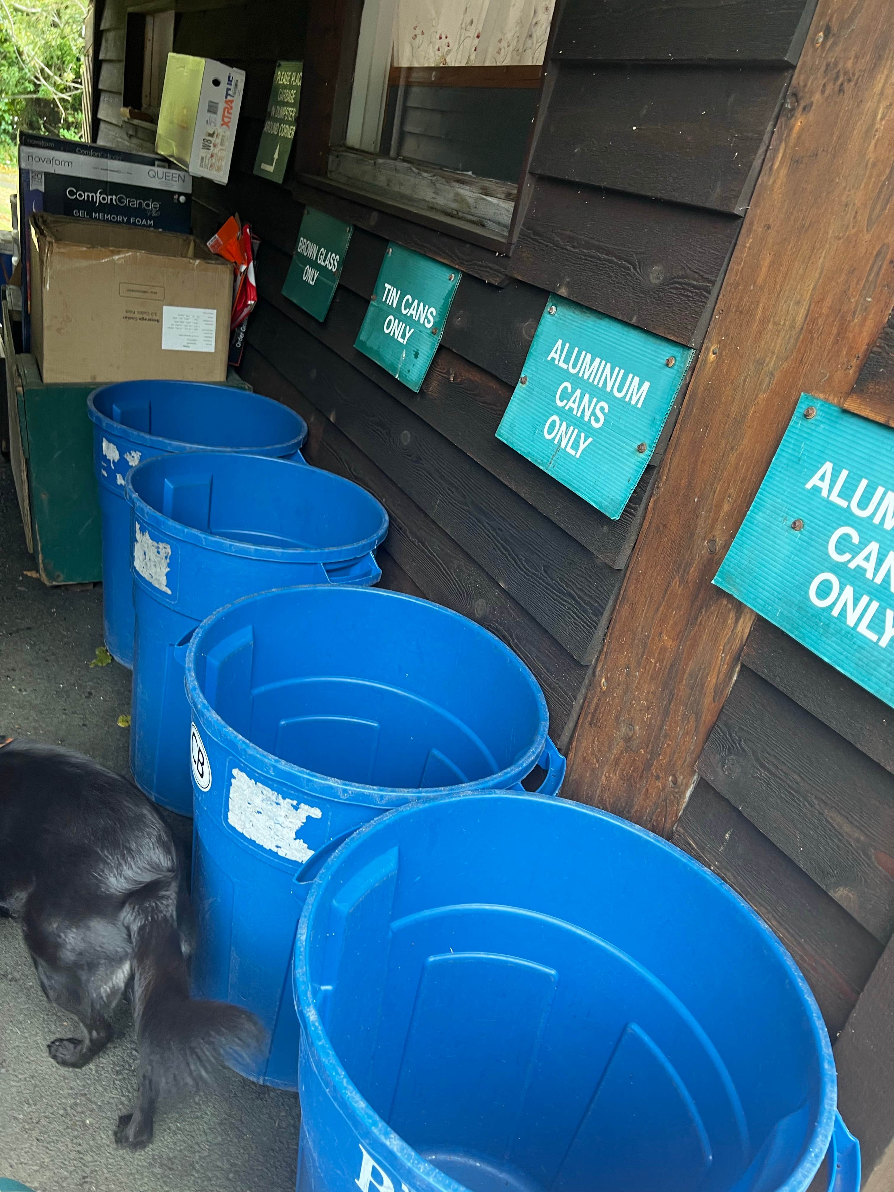 Gintare's photo of camping with pets at Sea Ranch Resort near Cannon Beach, OR