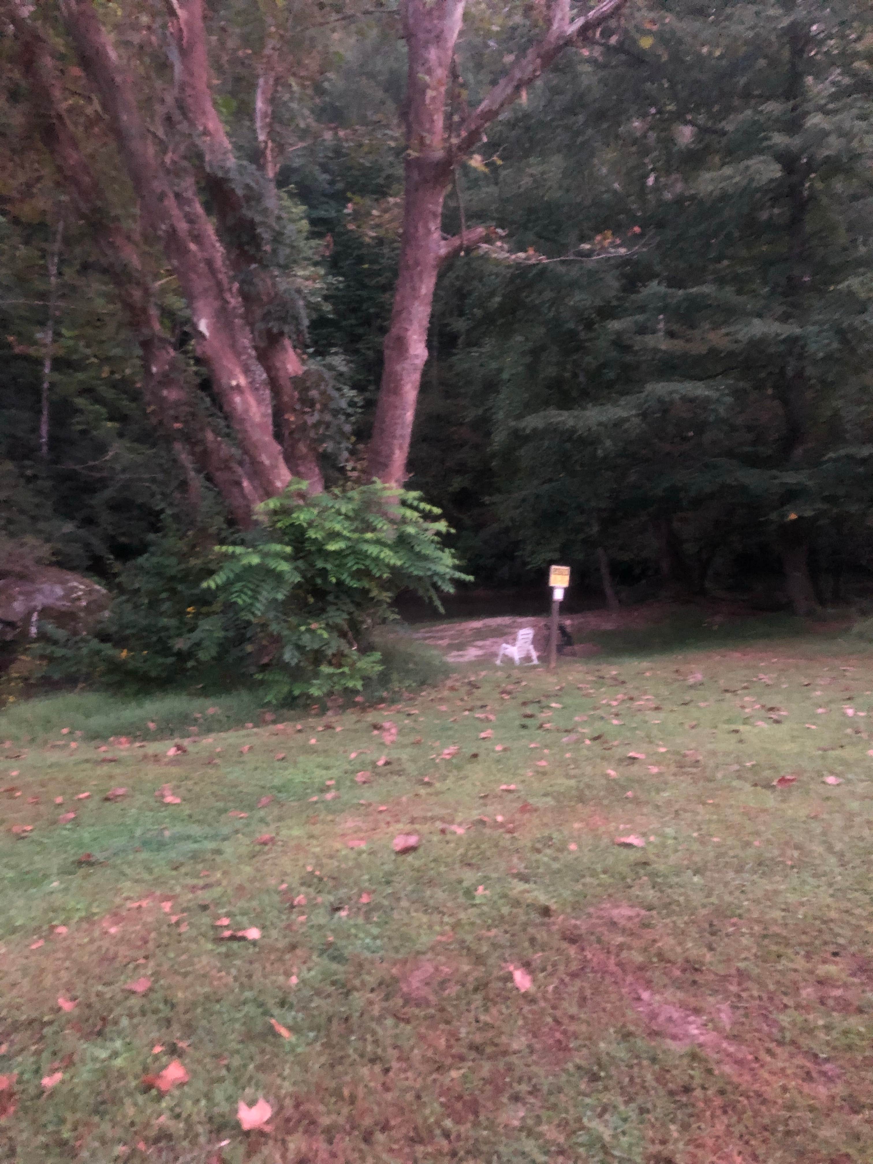 Camper-submitted photo at Stoney Fork Campground near Wilkesboro, NC