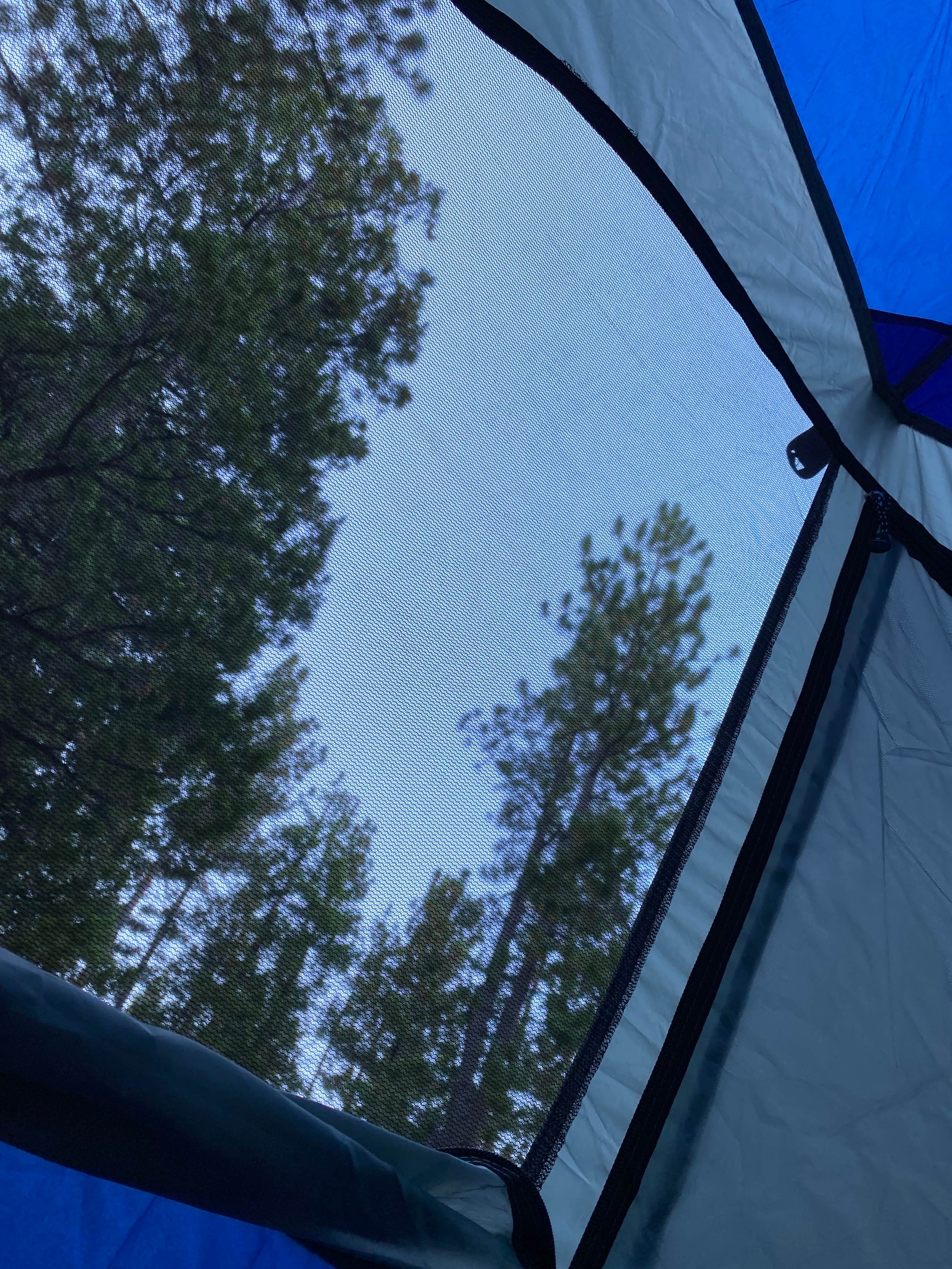 Sara B.'s photo at Stone Creek Campground — Mount San Jacinto State Park near Mountain Center, CA