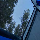 Review photo of Stone Creek Campground — Mount San Jacinto State Park by Sara B., October 3, 2022