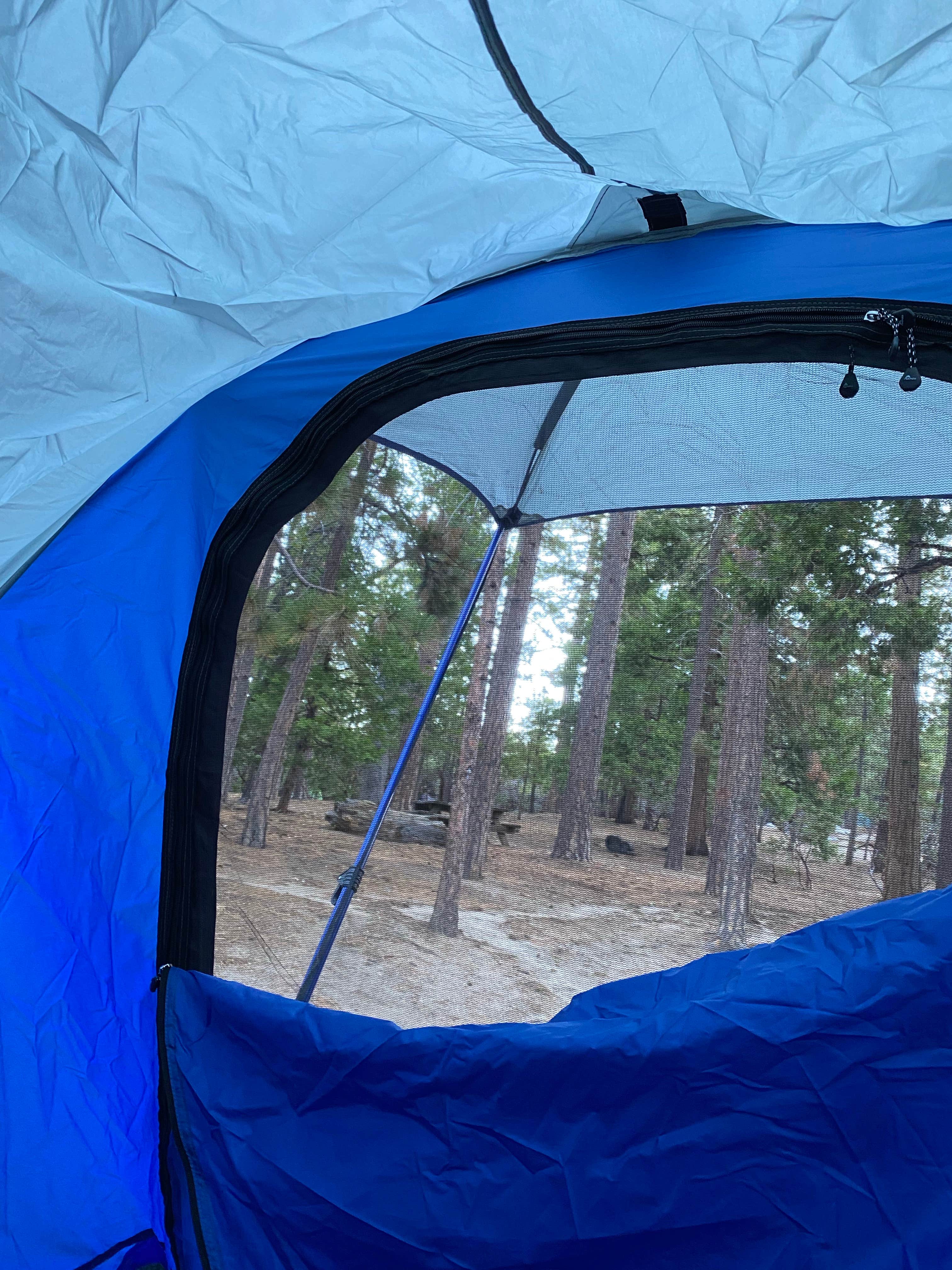 Sara B.'s photo at Stone Creek Campground — Mount San Jacinto State Park near Hemet, CA
