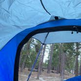 Review photo of Stone Creek Campground — Mount San Jacinto State Park by Sara B., October 3, 2022