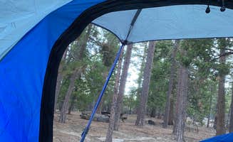 Sara B.'s photo at Stone Creek Campground — Mount San Jacinto State Park near Hemet, CA
