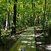 Review photo of Starved Rock Campground — Starved Rock State Park by Jayne M., October 3, 2022