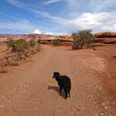 Review photo of Hamburger Rock Campground by Greg L., October 3, 2022