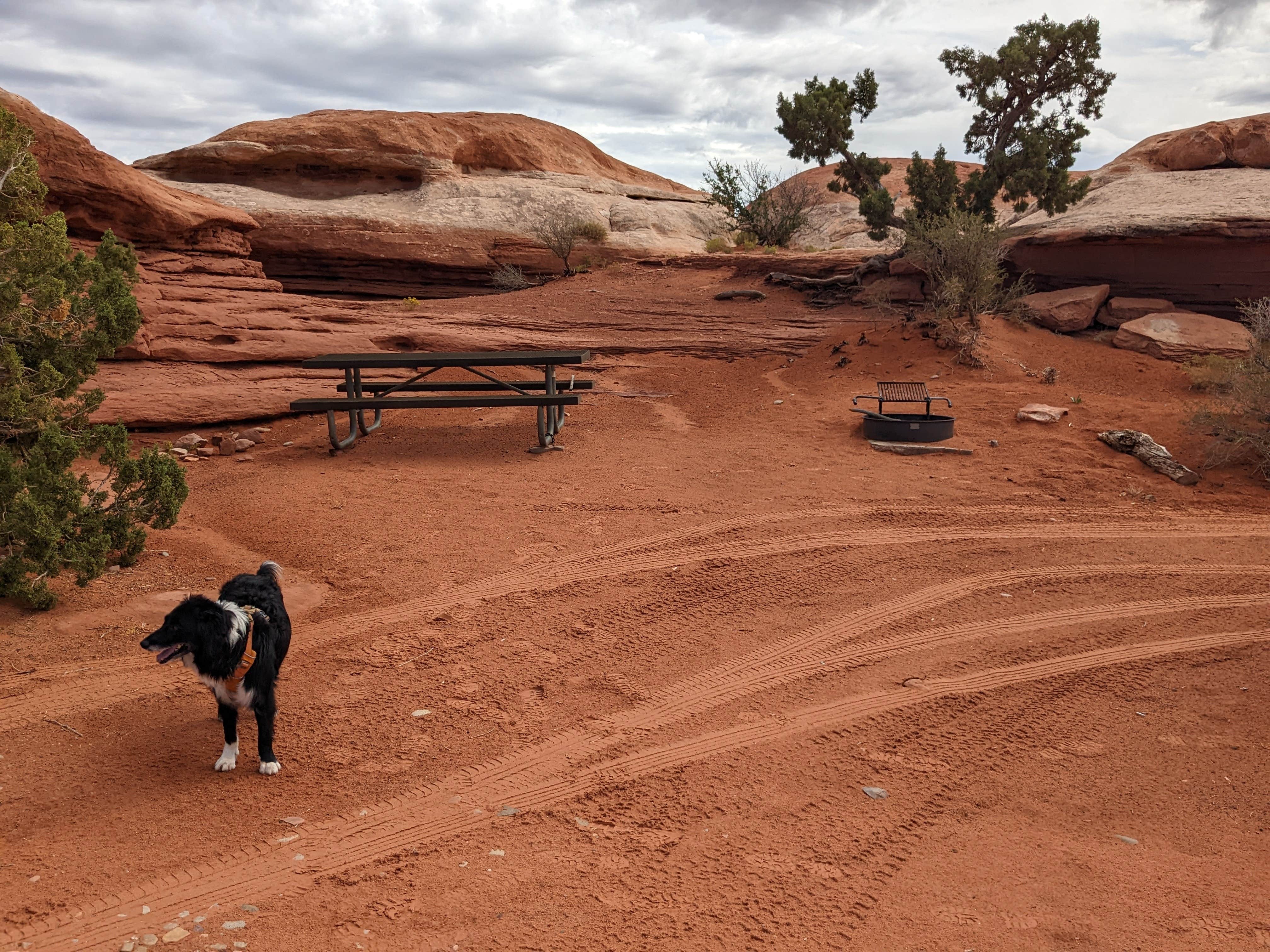 Camper submitted image from Hamburger Rock Campground - 5