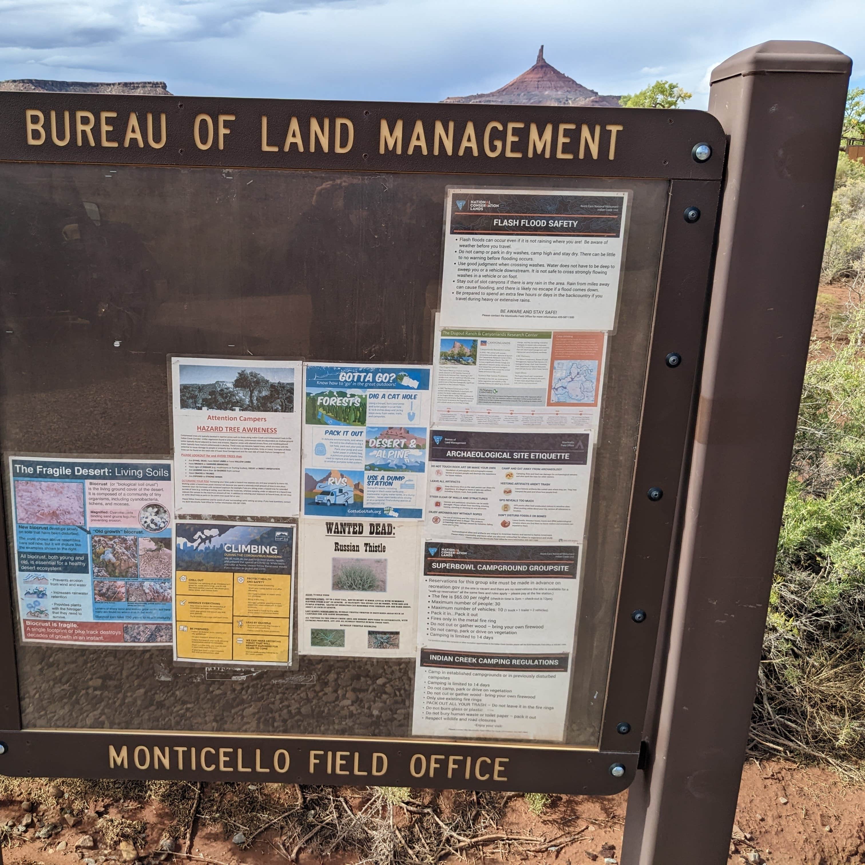 Superbowl Group Site, Bears Ears National Monument 