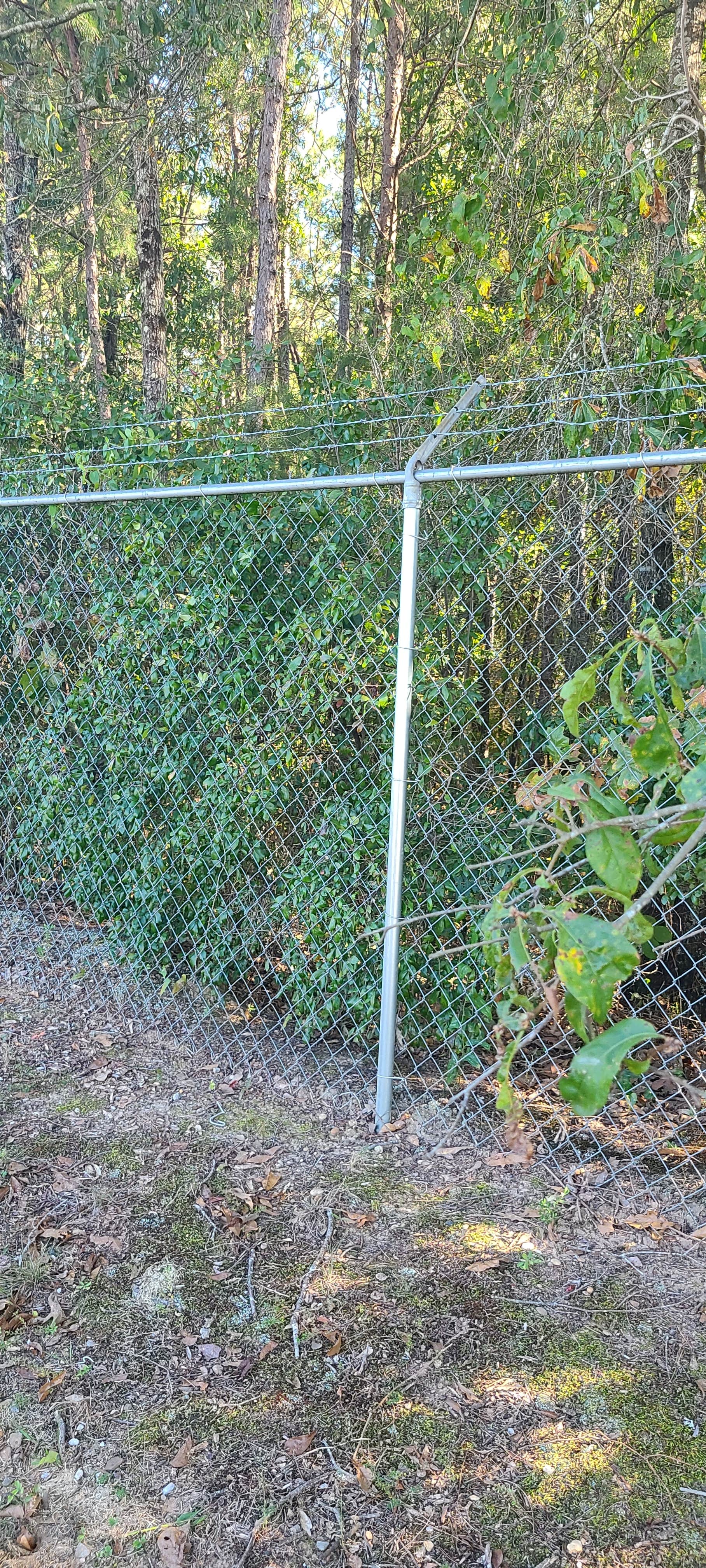 Camper-submitted photo at Bama RV Station near Northport, AL