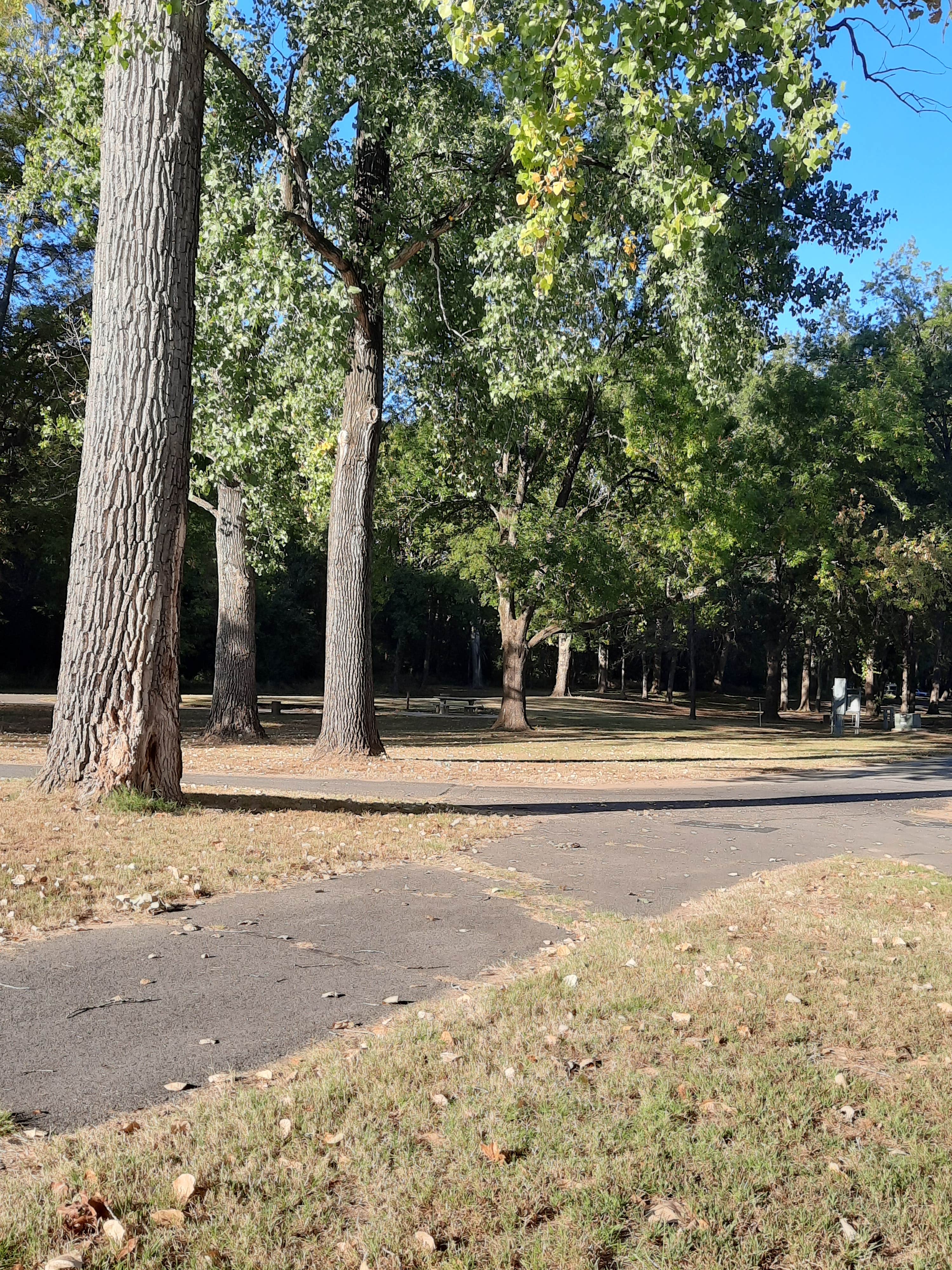 Camper-submitted photo at Cherokee Park (Arkansas River) — Arkansas River Rockefeller Lake near Ozark-St. Francis National Forests