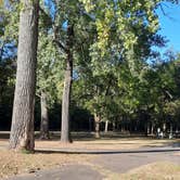 Review photo of Cherokee Park (Arkansas River) — Arkansas River Rockefeller Lake by Steve S., October 3, 2022