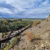 Review photo of Spokane Bay Campground by erik R., October 3, 2022