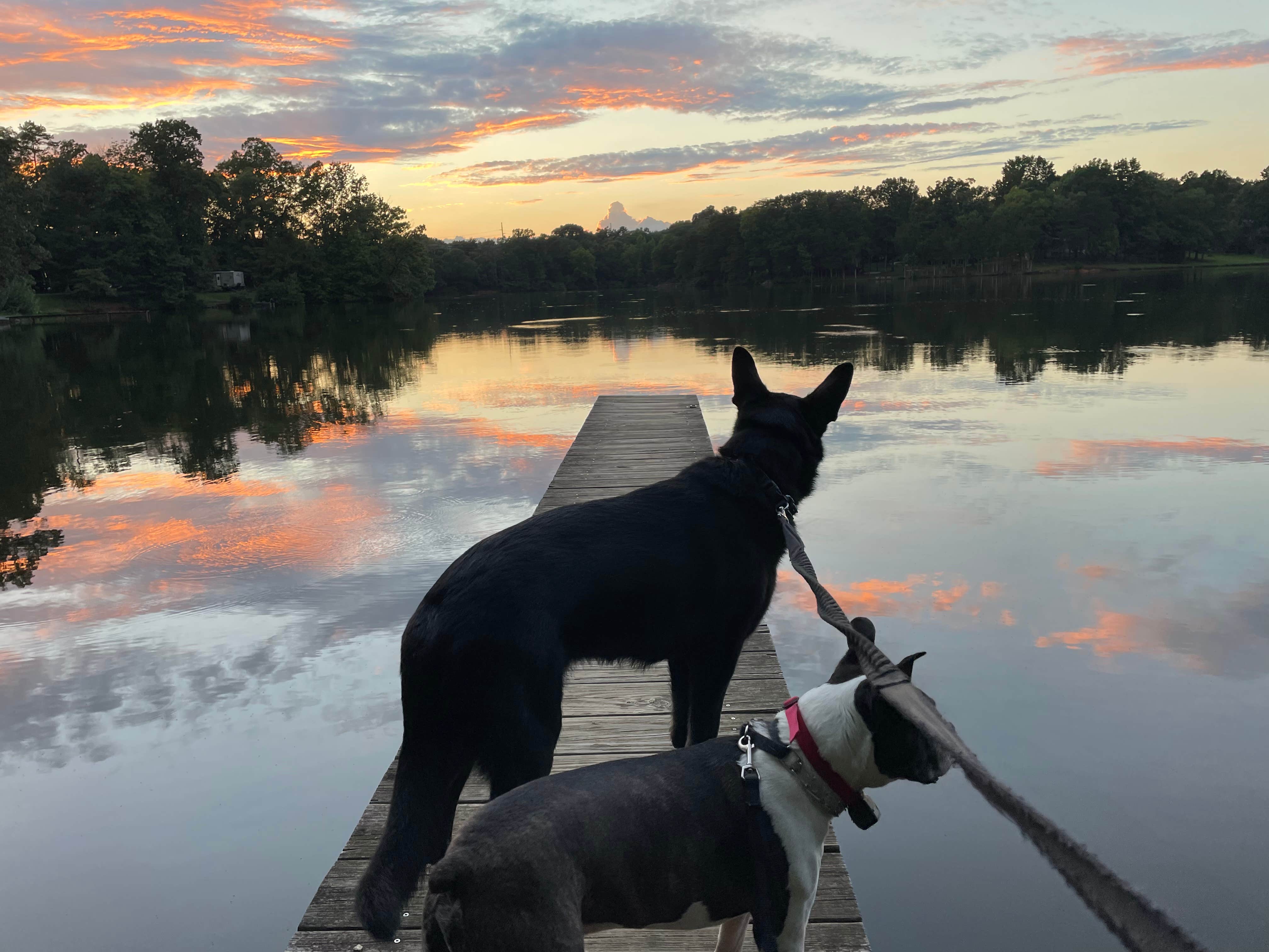 keith F.'s photo of camping with pets at Oak Hollow City Campground near Whitsett, NC