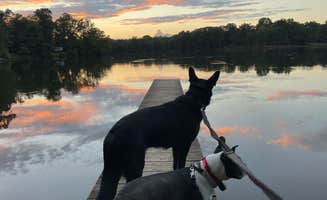 keith F.'s photo of camping with pets at Oak Hollow City Campground near Welcome, NC