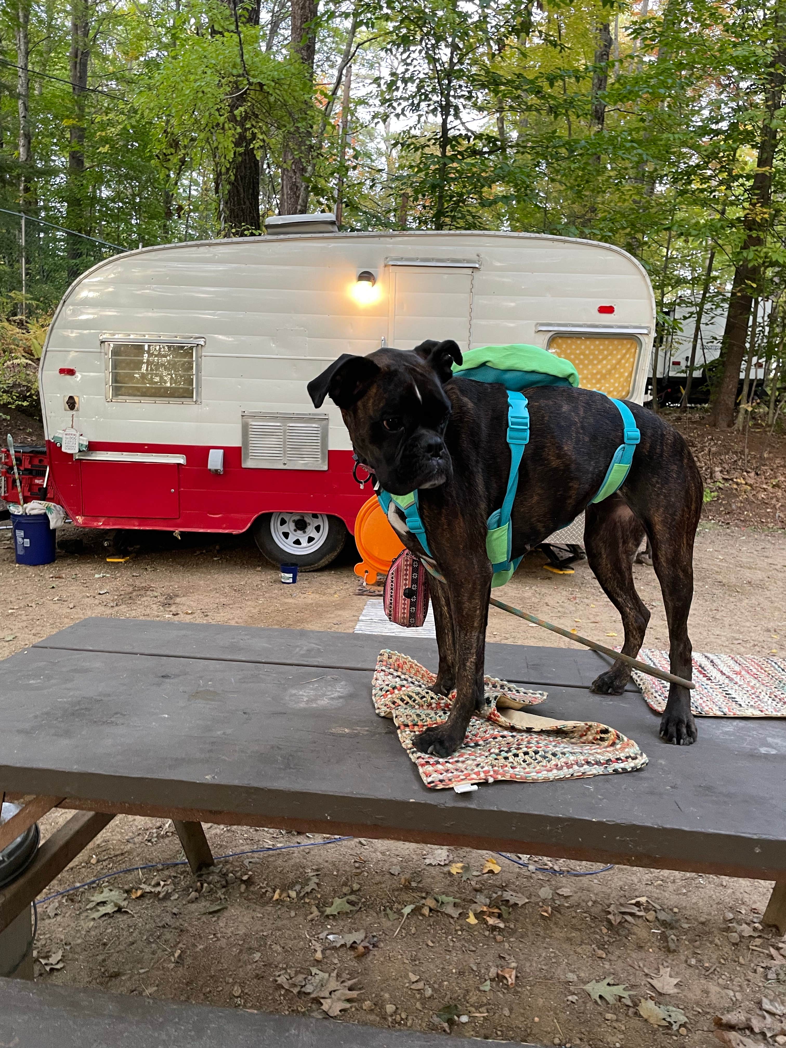 Camper-submitted photo at Clearwater Campground near Sanbornton, NH