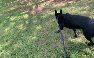 keith F.'s photo of camping with pets at Hagan-Stone Park near Welcome, NC
