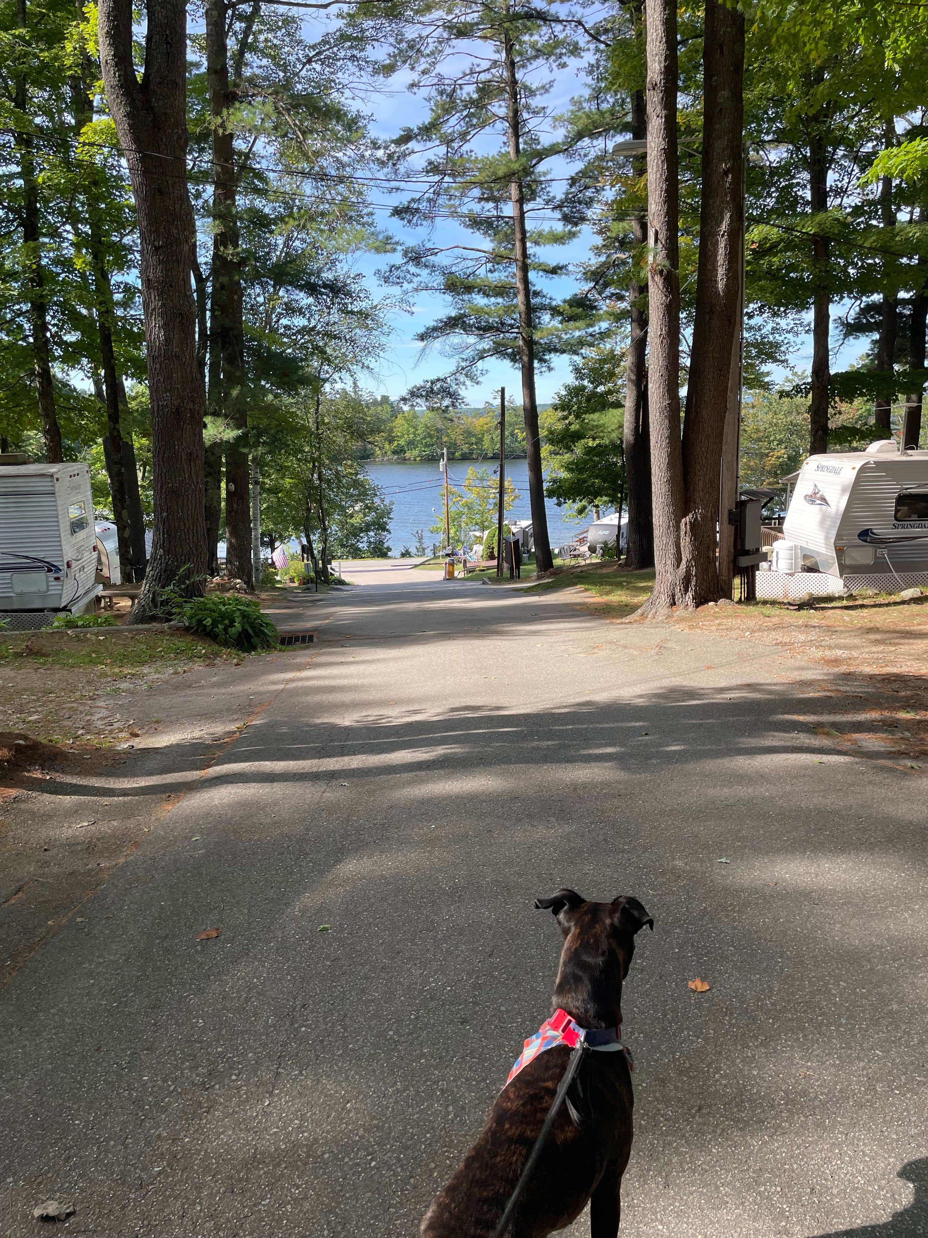 Camper-submitted photo at Long Island Bridge Campground near Laconia, NH
