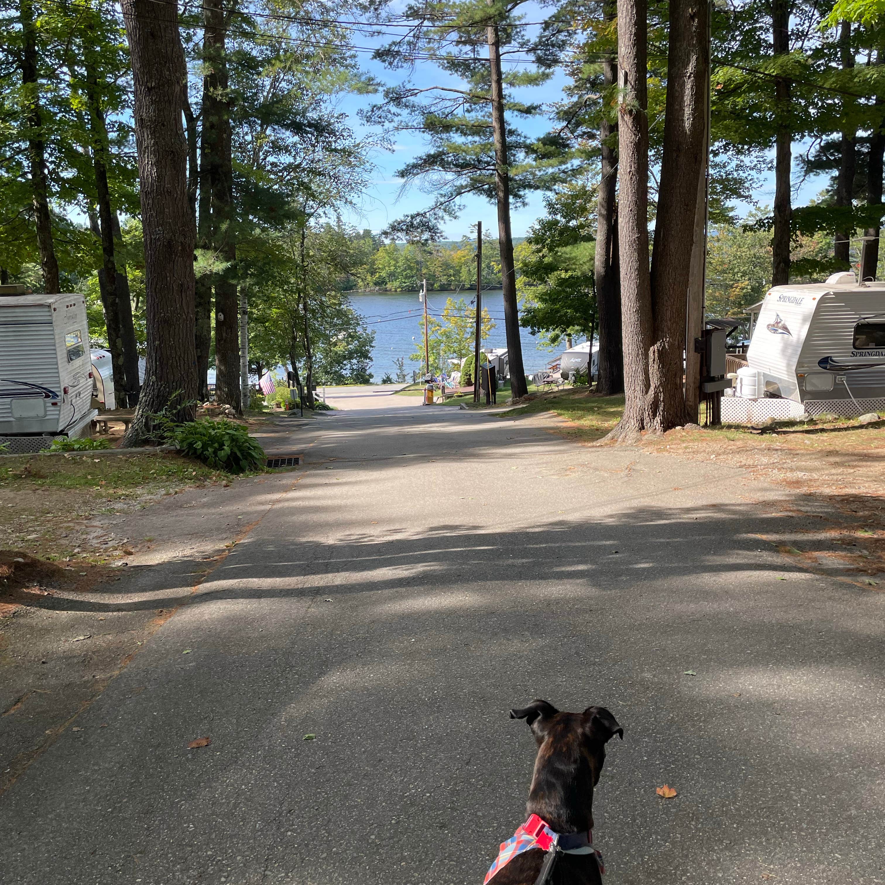 Escape To Serenity: Your Guide To New Hampshire’s Long Island Bridge Campground