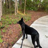 Review photo of Hilton Head National RV Resort by keith F., October 4, 2022