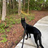 Review photo of Hilton Head National RV Resort by keith F., October 4, 2022