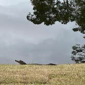 Review photo of Hilton Head National RV Resort by keith F., October 4, 2022