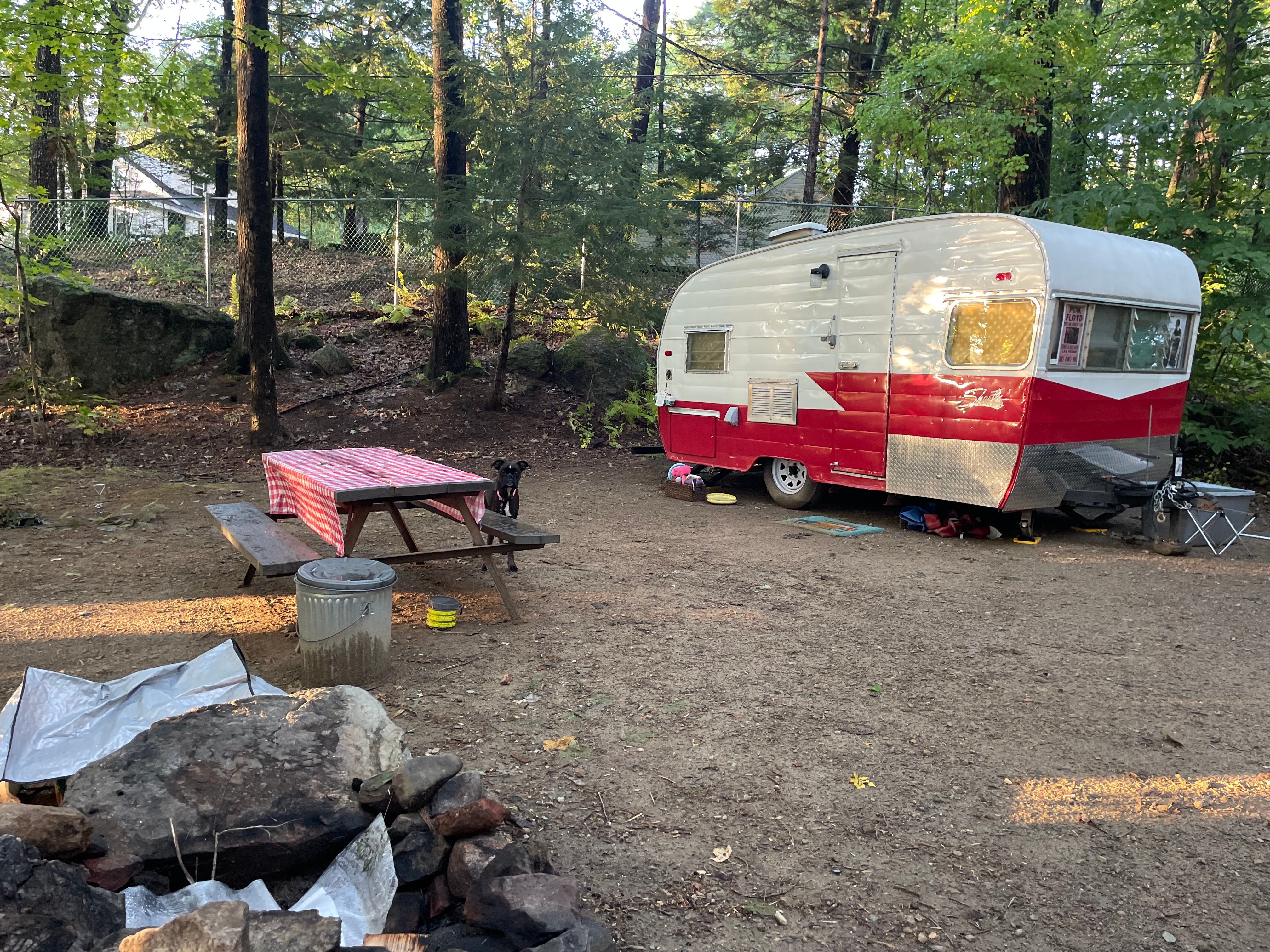 Camper submitted image from Clearwater Campground - 1
