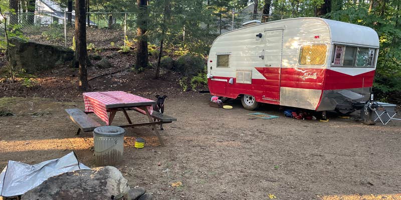 Camper submitted image from Clearwater Campground