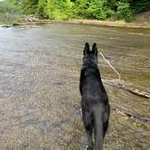 Review photo of Fairy Stone State Park Campground by keith F., October 4, 2022