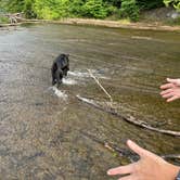 Review photo of Fairy Stone State Park Campground by keith F., October 4, 2022