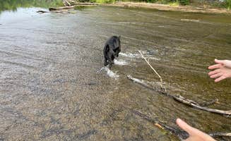 keith F.'s photo of camping with pets at Fairy Stone State Park Campground near Bent Mountain, VA