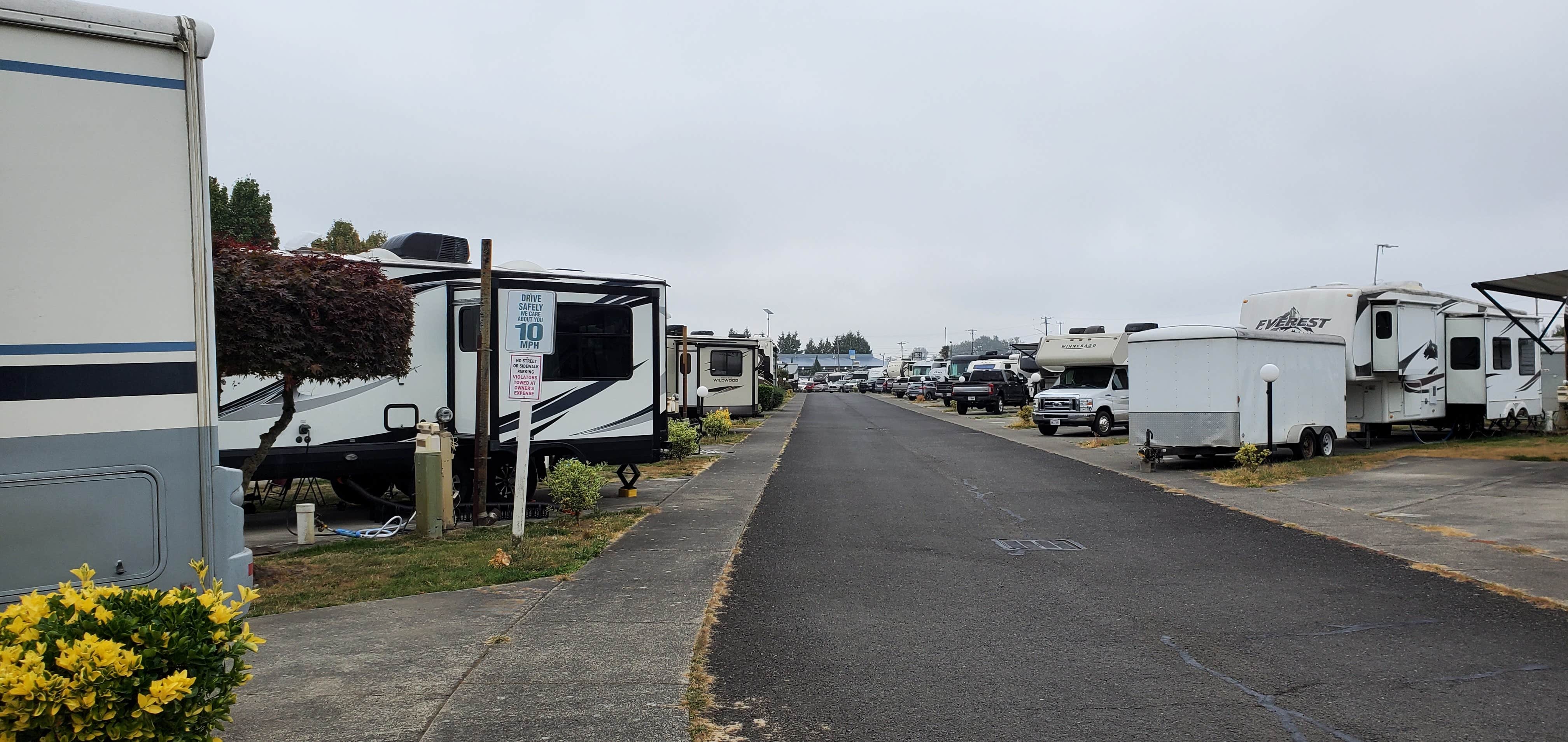 Tom V.'s photo of rv camping at Columbia River RV Park near North Bonneville, WA
